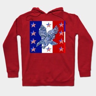 American Eagle - 4th of July Hoodie